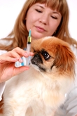 hondvaccinatie